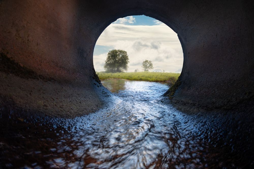 AdobeStock_269838738_Preview-transformed